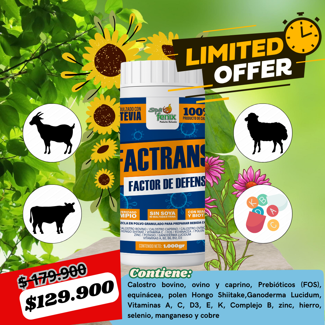 Transfactor Promoción